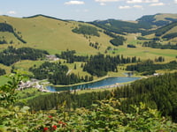 Teichalmstrasse von Fladnitz an der Teichalm