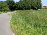 Telgtenweg from Uelsen