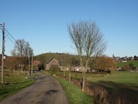 Ten Driesch von Hombourg