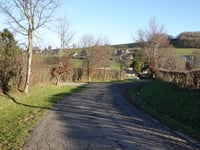 Ten Driesch von Hombourg