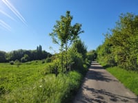 Ten Esschen von Geleenbeekdal