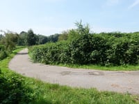 Ten Esschen von Geleenbeekdal