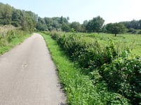 Ten Esschen von Geleenbeekdal