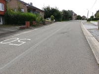 Ten Eycken von Schimper