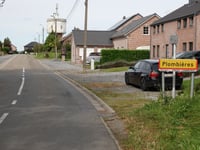 Ten Eycken Vosheydt from Schimper
