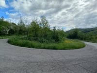 Teodorano von Strada Meldola Teodorano