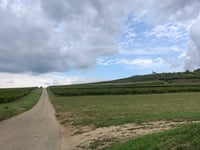 Terézia-domb da Tarcal