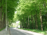 Terlindenweg from Kasteel Hoensbroek