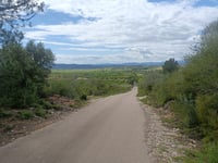 Camí del Terrer Blanc da Mas d l'Hereu