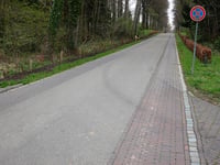 Terworm von Kasteel Terworm