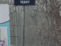 Rue Tesny