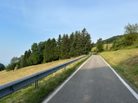 Testico from Stellanello