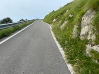 Testico from Stellanello