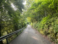 Testico from Stellanello