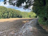 Teutohang Est