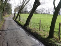 Teveld über Rue des Champs