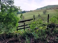 The Clough von Bamford