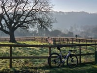 The Crong desde Tring