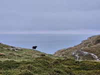 The Great Orme z Llandudno przez Marine Drive