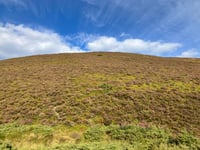 The Lecht von Tomintoul