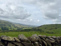 The Old Rake