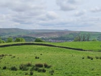 The Rake von Ramsbottom