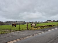 Thier d'Hodimont