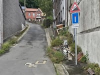 Thier Oulet von Engis