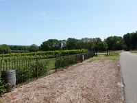 Bergweg
