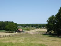 Bergweg