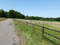Bergweg