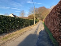 Tiegemberg über Bergstraat & Meuleberg