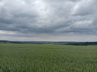 Tienne Saint-Roch von Floreffe