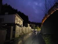 Tier de Liège von Malmedy