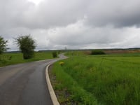 Tier de Viné über Rue de la Haie Himbe