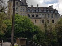 Tier de Viné über Rue de la Haie Himbe