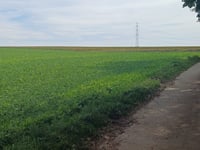 Tierestraat von Diets-Heur