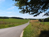 Tige du Bois de Gras über Borlon