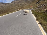 Timmelsjoch da Sölden