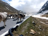 Timmelsjoch da Sölden