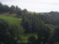 Tintange depuis La Sûre