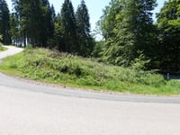 Tintesmühle