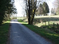 Gueuzaine depuis Vennbahn