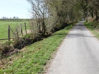Gueuzaine depuis Vennbahn