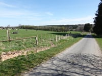 Gueuzaine depuis Vennbahn