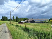 Toijol