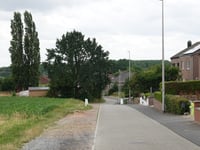 Tomveld