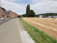 Tomveld