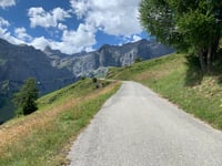 Torrentalp von Susten über Thel
