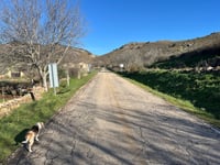 Torreplazo przez Miedes de Atienza